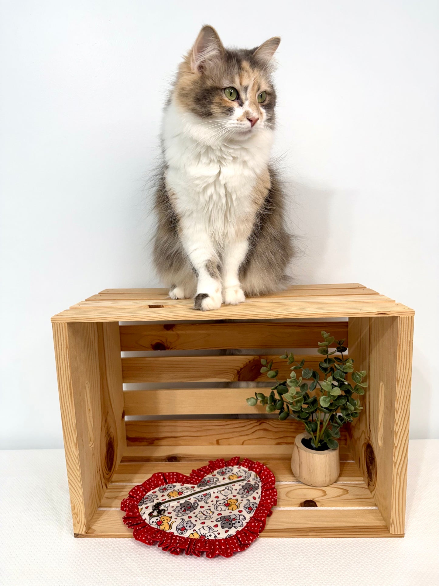 Ruffle Heart Zipper Pouch Sewing Pattern